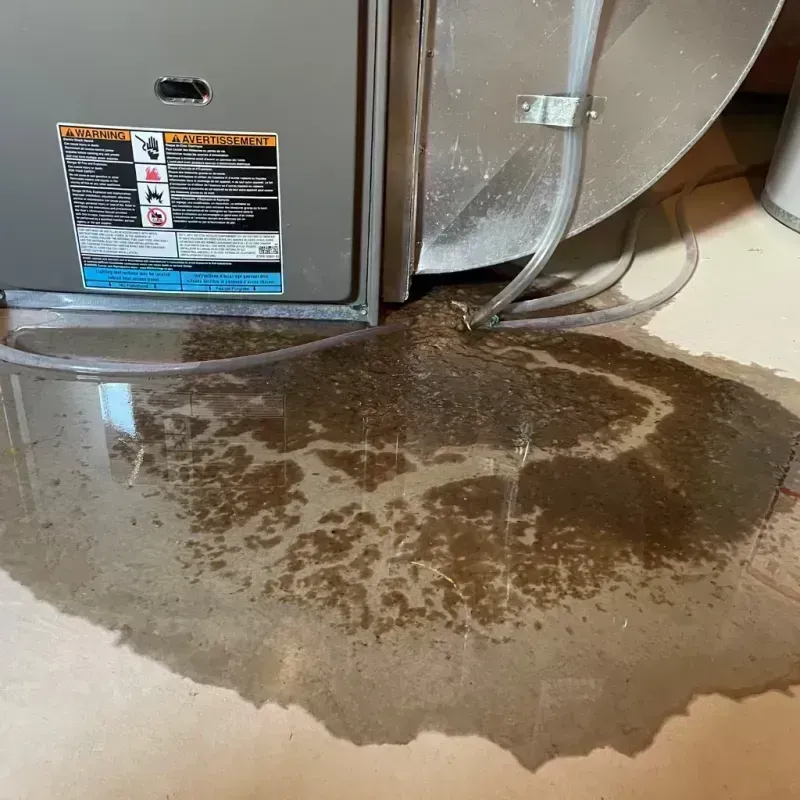 Appliance Leak Cleanup in Newport, KY